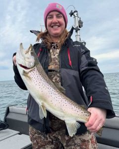 Spotted weakfish caught while fishing in Sodus Point