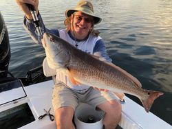 Redfish caught in Tarpon Springs, FL