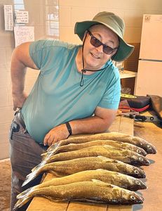 Great day with Doug! His very first limit of walleye. 