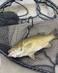 5 people fishing in NY