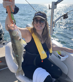 Sauger fish caught while fishing in Buffalo