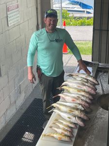 Two 14-inch fish caught while fishing in NY