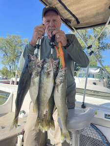 Fisherman holding 3 big fish in NY