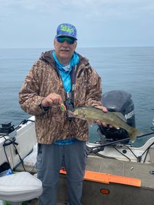 Walleye fish caught in NY