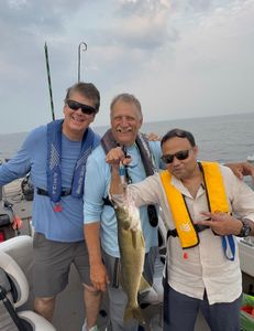 Walleye caught while fishing in NY