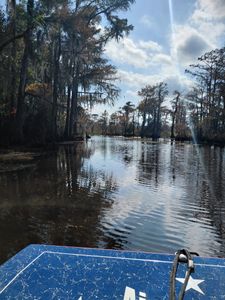 Tour boat traveling through scenic waterway surrounded by trees and vegetation in Orange TX