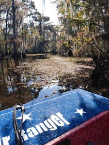 Tour boat on swamp waterway surrounded by cypress trees and Spanish moss in Orange TX