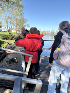 Tour group observing wildlife from wooden dock platform in Orange TX