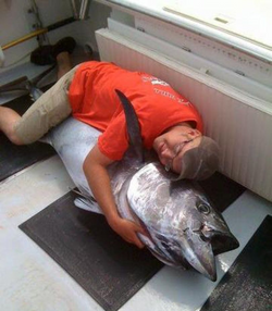 A fisherman with a blue marlin catch in MA