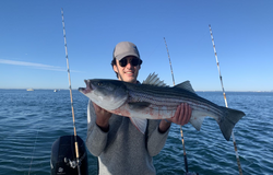Striped Bass caught in MA