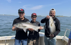 Two striped bass, caught by three people, in Quincy