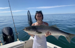A striped bass fish caught in Quincy