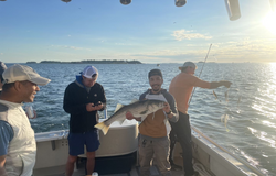 Striped Bass caught in Quincy