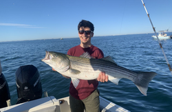 Striped bass fishing in Quincy