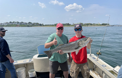 Striped bass caught by 3 anglers in Quincy