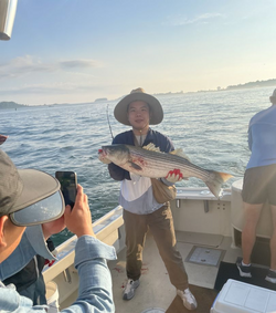A striped bass caught while fishing in MA