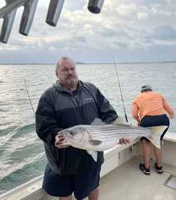 Striped bass fishing in MA