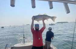 Striped bass caught while fishing in MA