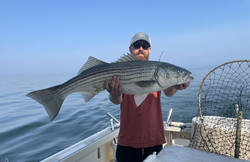 Striped Bass, 39-inch fish caught while fishing in MA