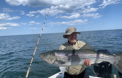 Striped bass caught while fishing in MA