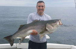 Photo of a striped bass caught in Quincy
