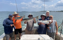 Three striped bass caught while fishing in MA