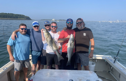 Two striped bass, fishing in Quincy