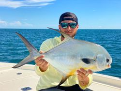 Shiny Permit from Pine Island Sound