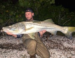 Massive Snook caught from Sanibel shoreline