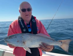 Beautiful Redfish caught near Sanibel