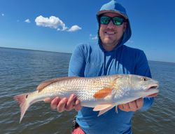 Glowing Redfish from Pine Island Sound