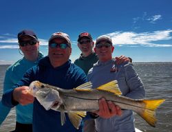 Vibrant Snook on a sunny Sanibel charter