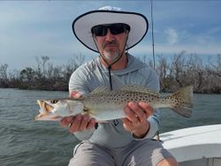 Spotted Seatrout from peaceful Pine Island
