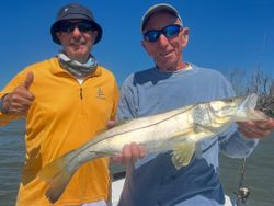 Bright Snook from calm Sanibel waters