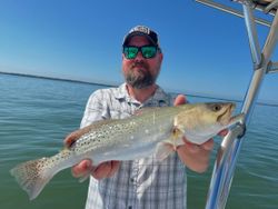 Spotted Seatrout from glassy Pine Island