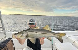 Snook fish caught by angler in FL