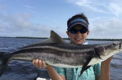 A big cobia fish caught while fishing in Sanibel
