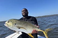Giant trevally fish caught in Sanibel