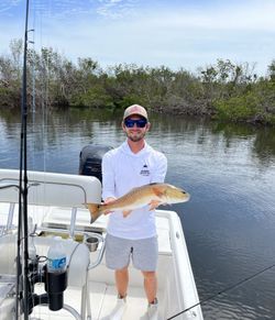 Photograph of a 21-inch redfish caught while fishing in FL