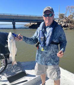 Angler reeling in a 15-inch fish in FL