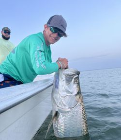 Tarpon fish caught while fishing in Sanibel
