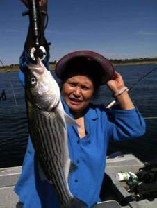 Striped bass fishing in Waterford