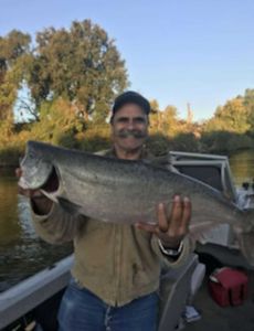 A fisherman reeling in a 31-inch catch in CA