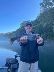 Hooked on Brown Trout beauty! 