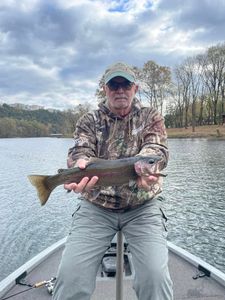 Rainbow Trout—pure fishing perfection!