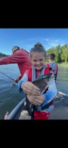 Rainbow trout caught while fishing in MO