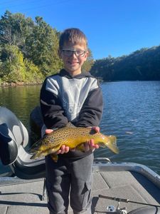 A lone sea trout caught while fishing in Branson