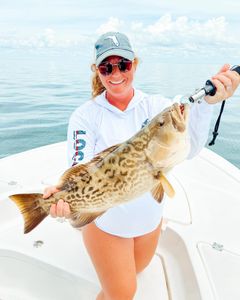Gag Grouper fish caught in FL