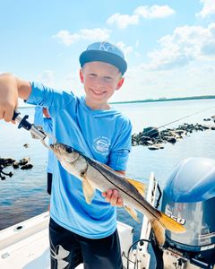 Angler catches a snook in FL