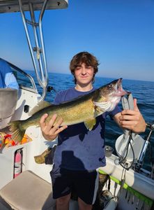 Pike-Perch caught while fishing in NY